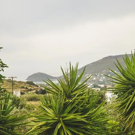 Pergola Andros Βίλα Γαύριο