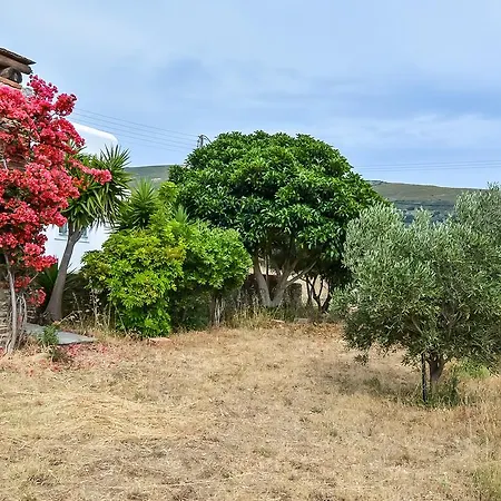 Villa Pergola Andros *