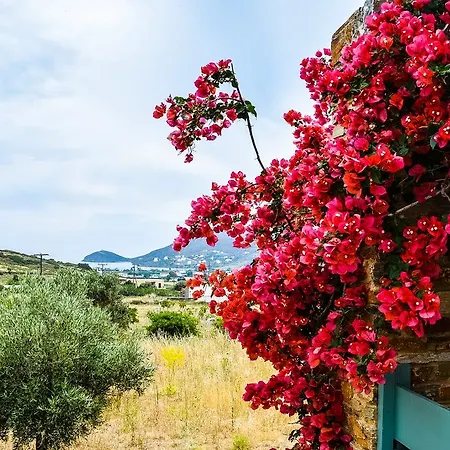 Villa Pergola Andros *