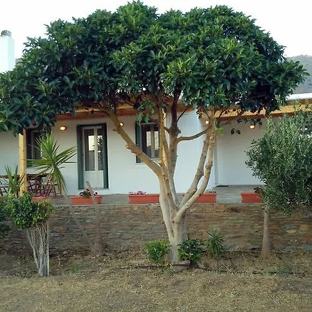 Vila Pergola Andros