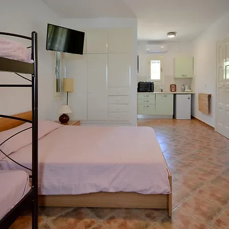 Villa Pergola Andros