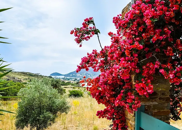 Villa Pergola Andros *