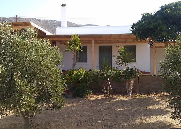 Villa Pergola Andros *