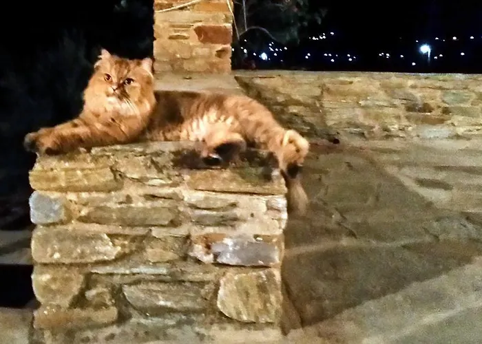 Pergola Andros Gavrio