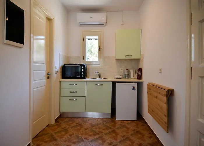 Villa Pergola Andros *